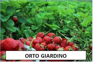 Progetto orto giardino