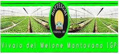 Logo consorzio del melone